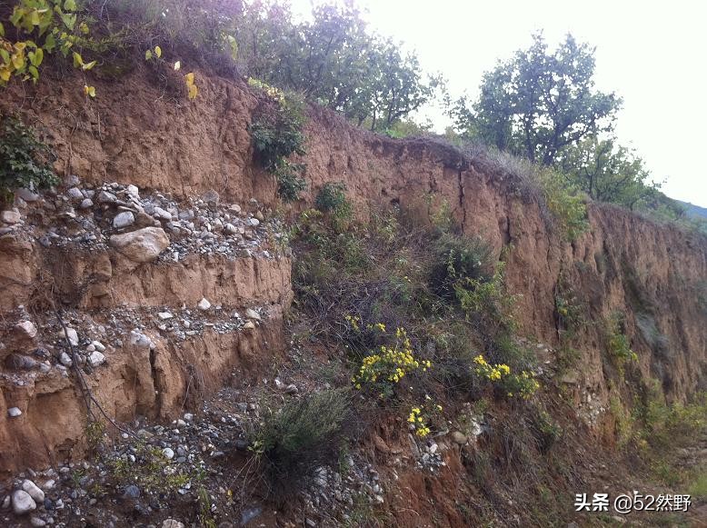 永定河北京的母亲河桑干河,桑干河与滹沱河