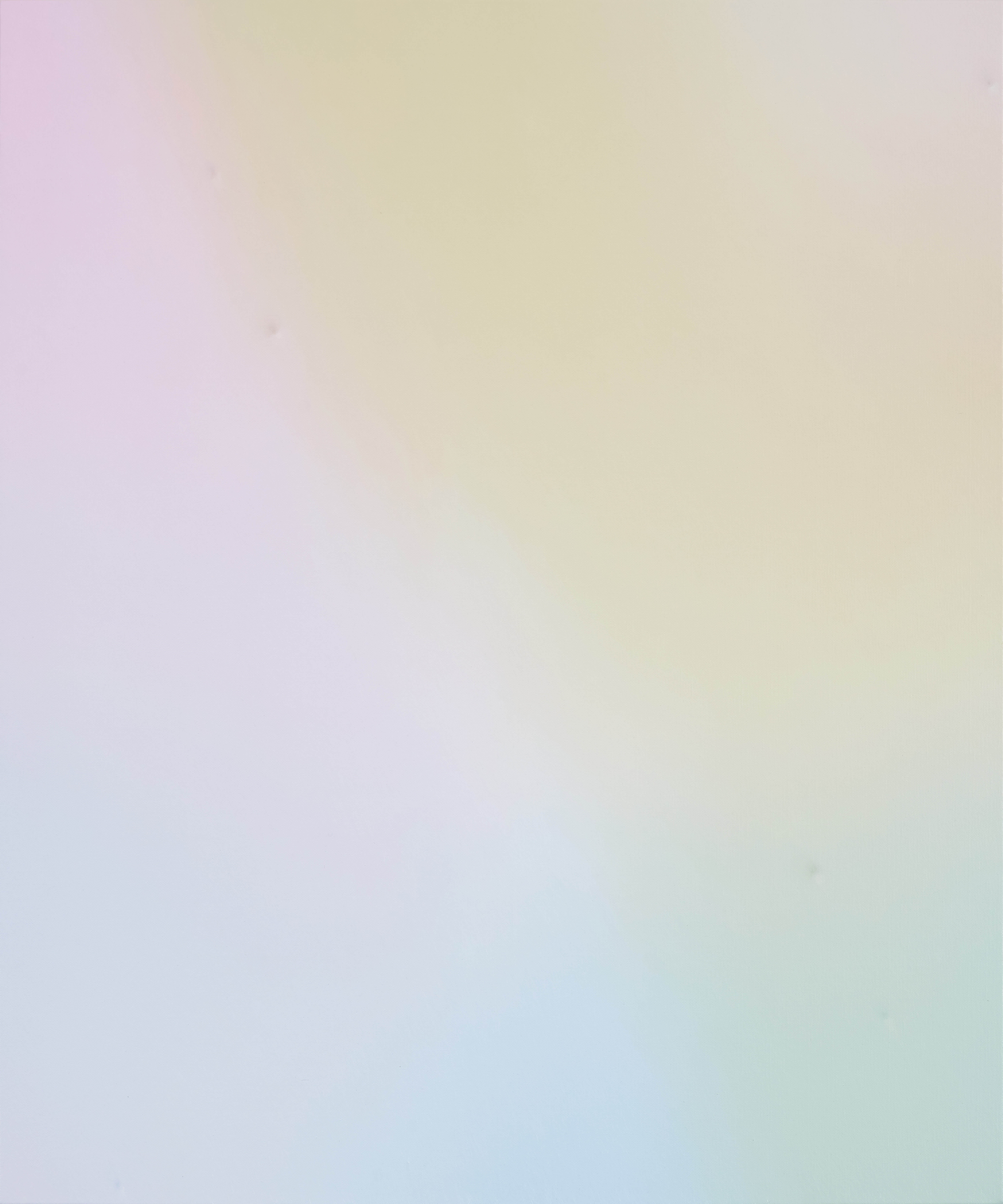 两端之间：万杨的绘画｜艺术栗子