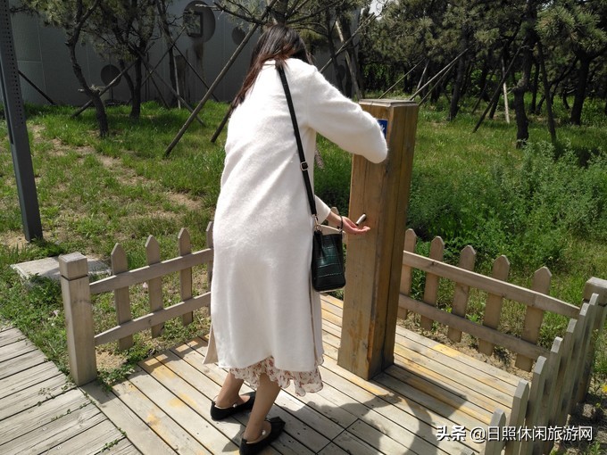 日照赶海之旅,日照冬季赶海旅游去哪里最好