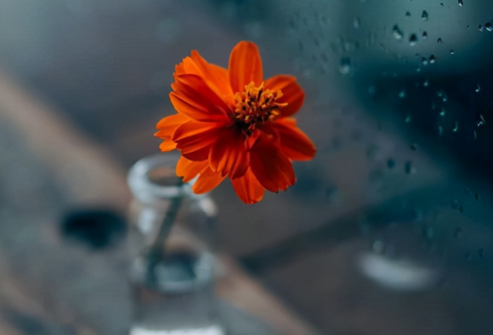 鼓舞斗志经典语录,鼓舞人心的励志句子30字