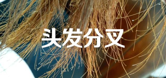 清爽头皮不掉发洗发露,秃头油腻头屑多洗发水推荐