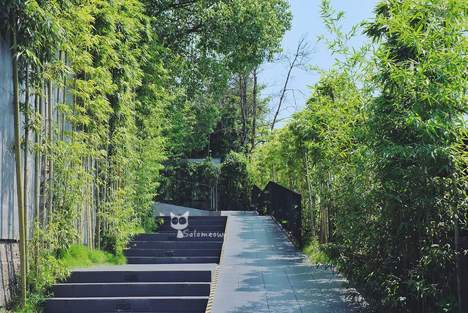 藏于山隐于巷，重庆日夜里的另一番江湖