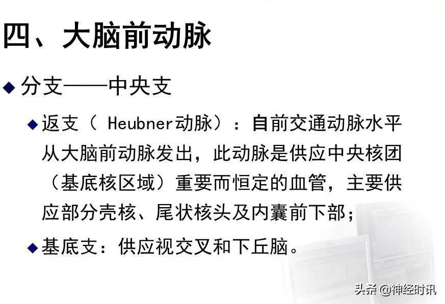 脑动脉解剖学讲解,脑膜中动脉解剖讲解