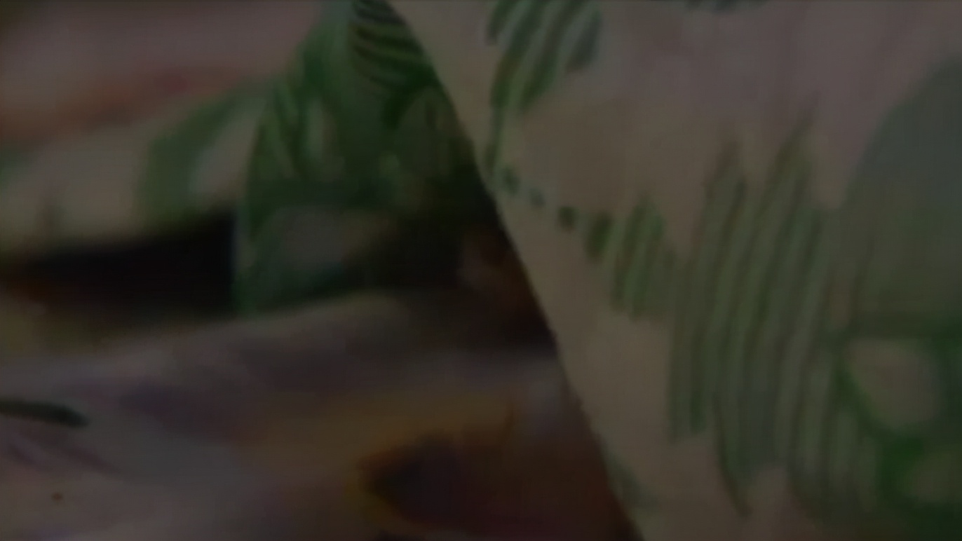 毒蝎进村的真实事件,毒蝎进村的真实原因