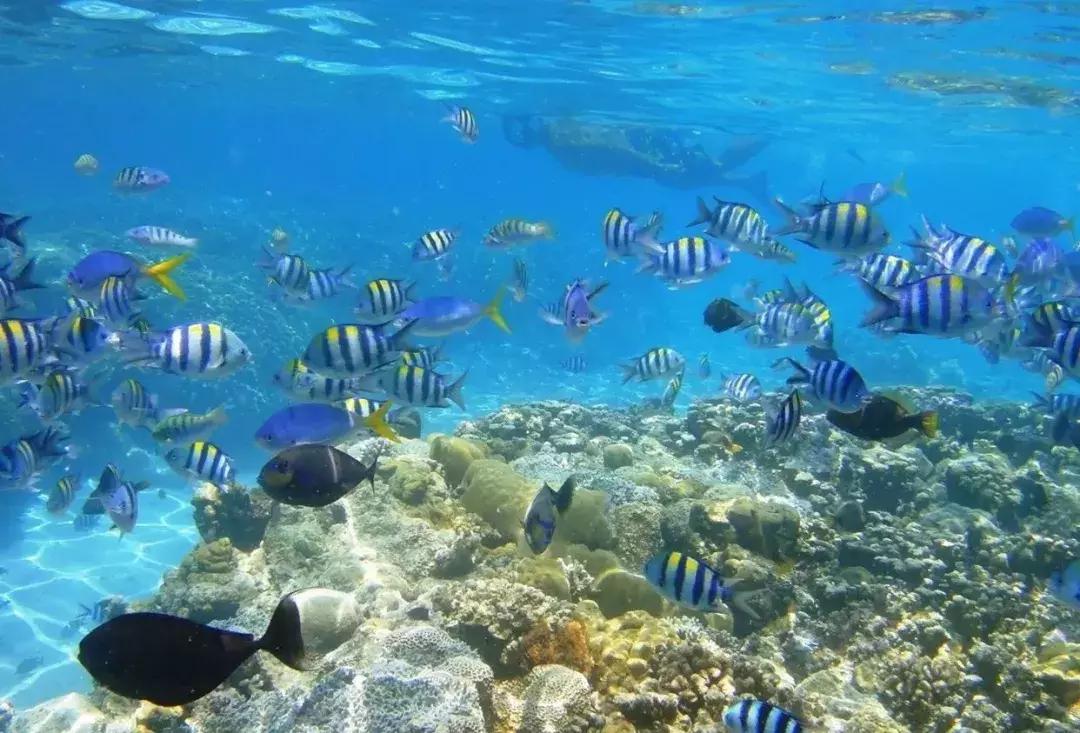 暑假去哪些国家免签,暑假适合去的免签海岛