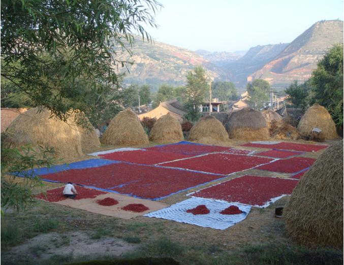 富平县老庙特产,富平县特产专卖