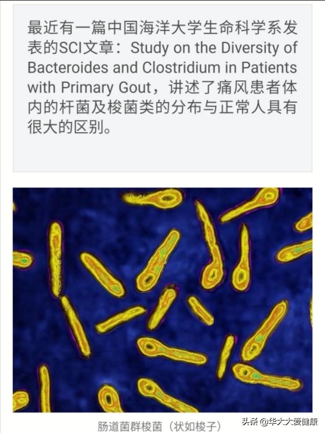 益生菌的真正作用,益生菌真的对身体有帮助吗