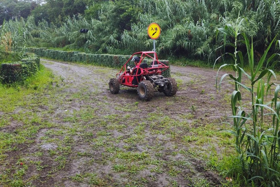 三月赏花一日游上海景点,本月上海赏花一日游最佳去处