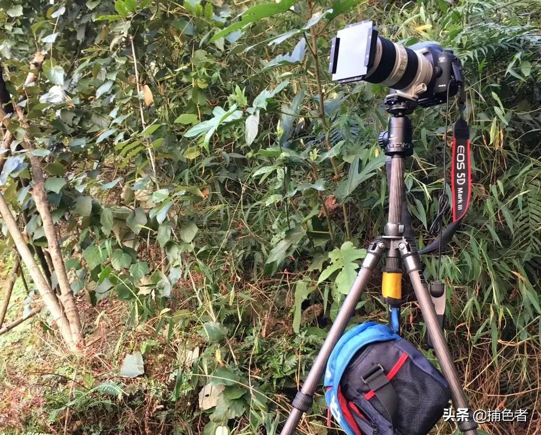 教你拍美丽的车轨,超赞的车轨是怎么拍的