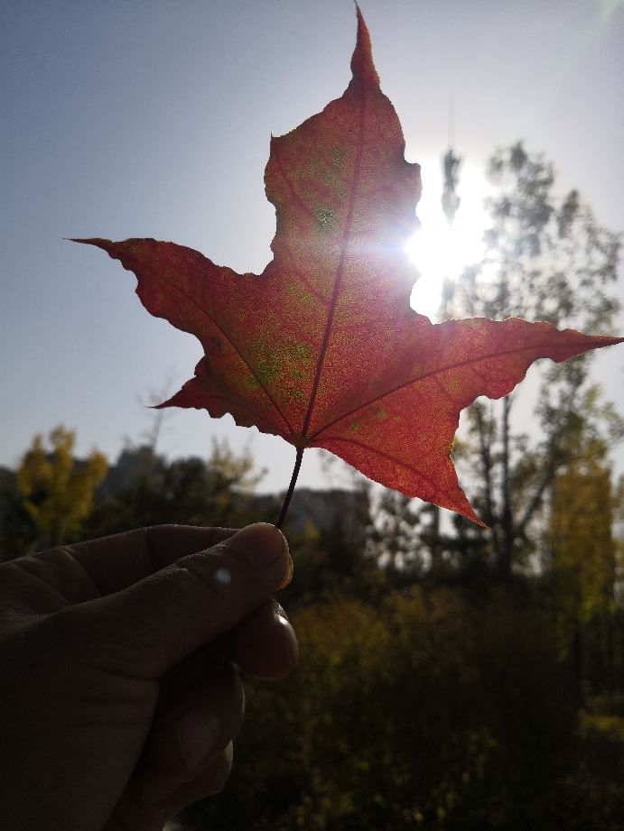 太原去哪里看秋景,太原的秋景有哪些