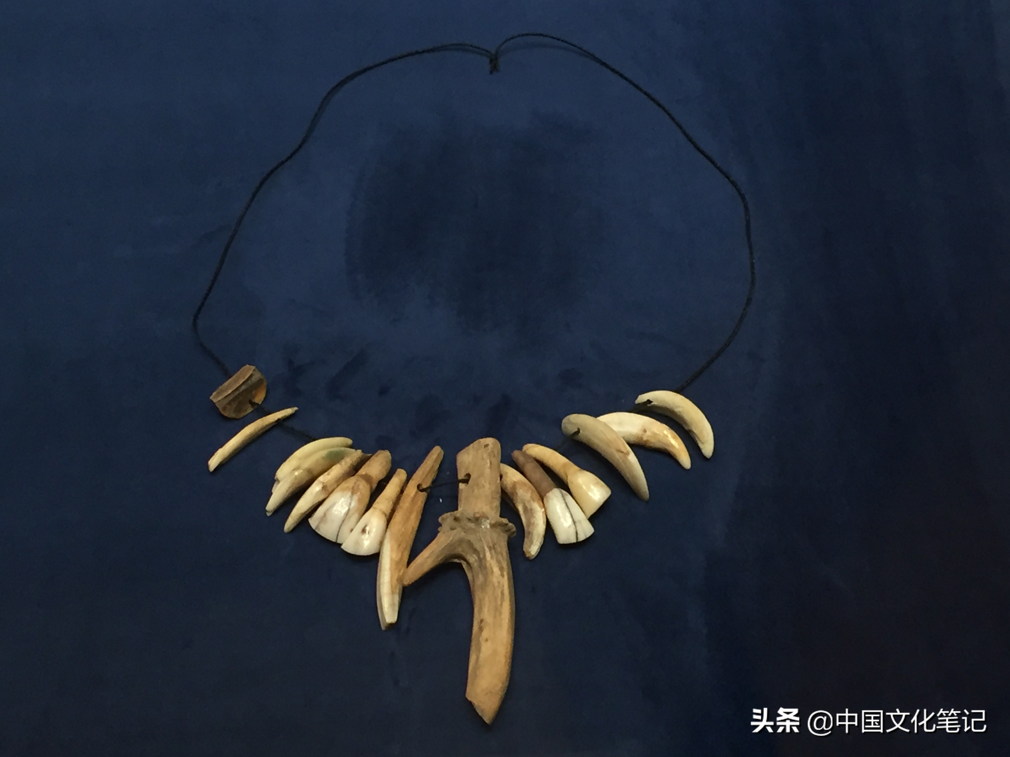 远古时期骨器,连骨头都不剩的排骨