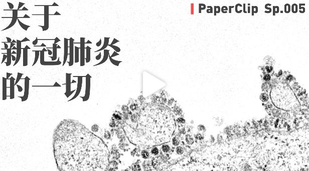 回形针为什么又上热搜,回形针科普视频怎么做的