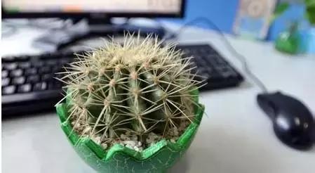 金融与生活知识分享,生活中常见的盐知识讲解视频