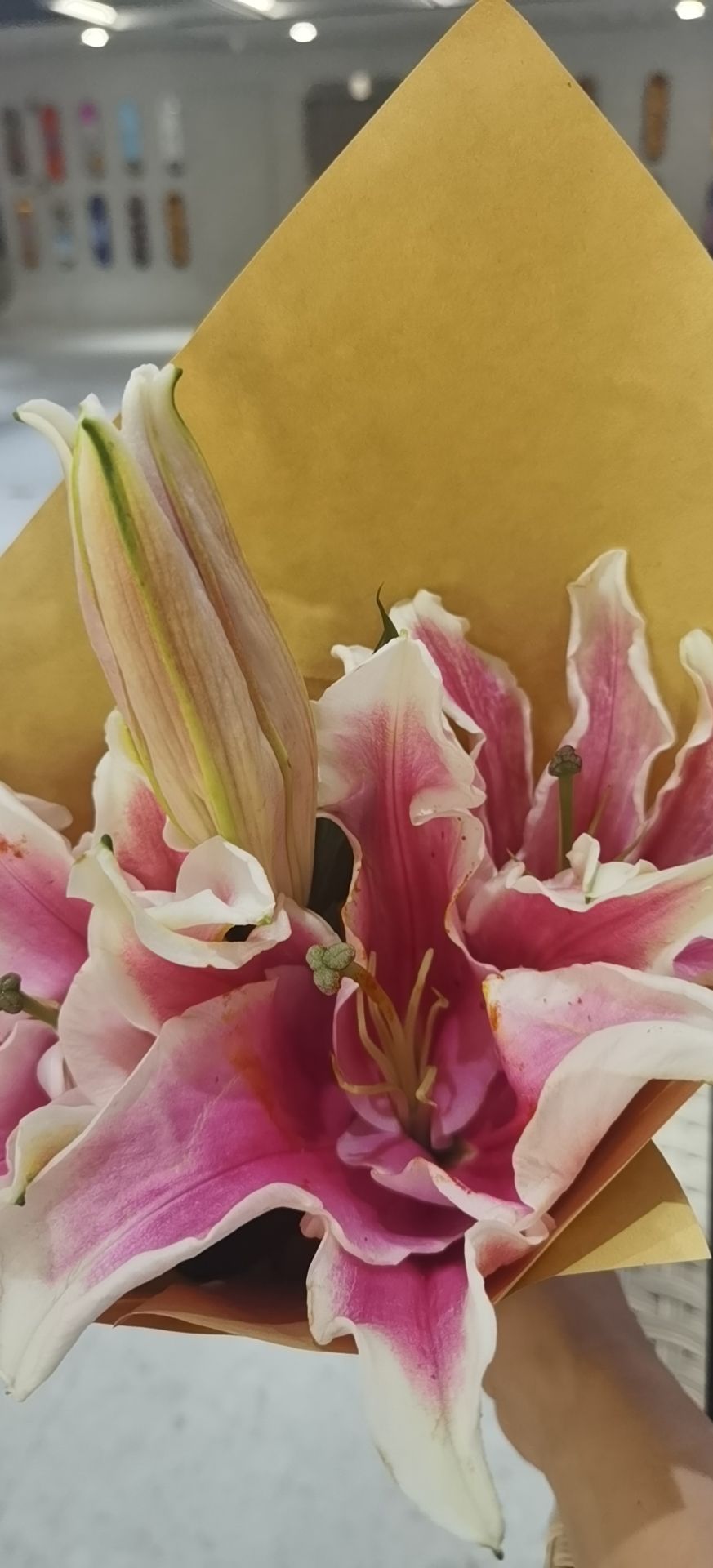 松原成都污水处理设备,松原去成都有旅游团吗