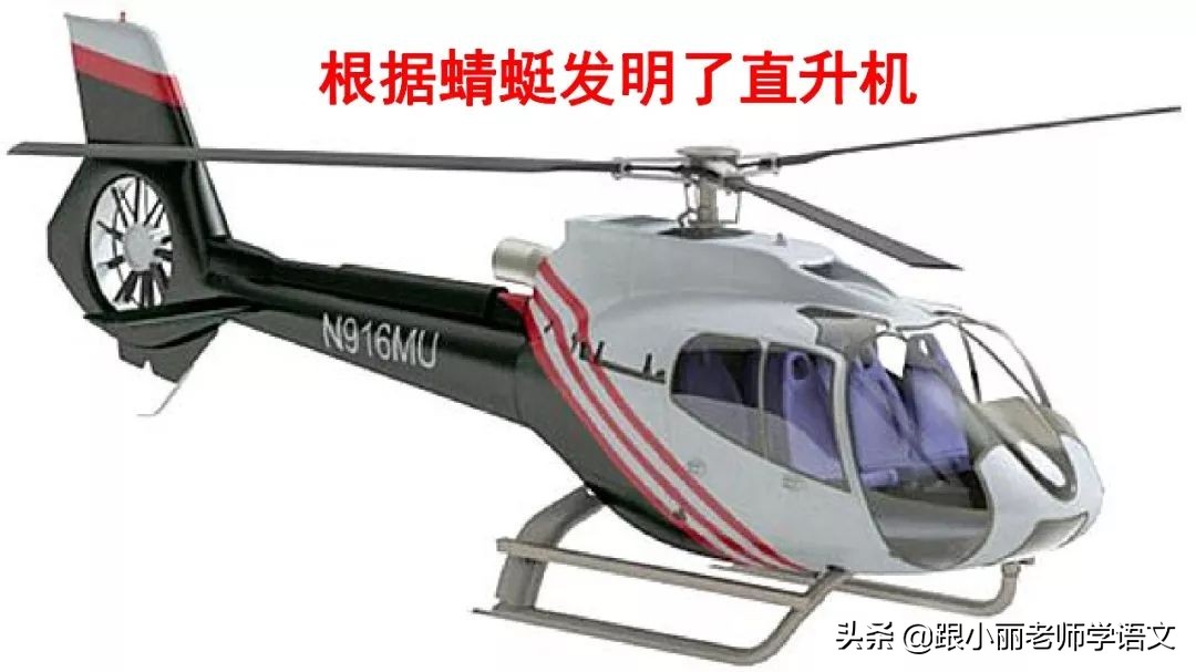 语文思维导图四年级上蝙蝠和雷达,人教版四年级上册蝙蝠和雷达朗读