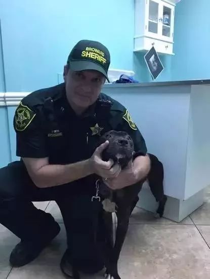 缉毒犬闻多了毒品会上瘾吗,闻毒品气味算吸毒吗