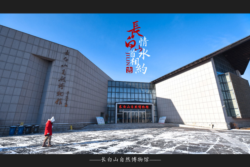 冰雪总动员简介,冰雪总动员