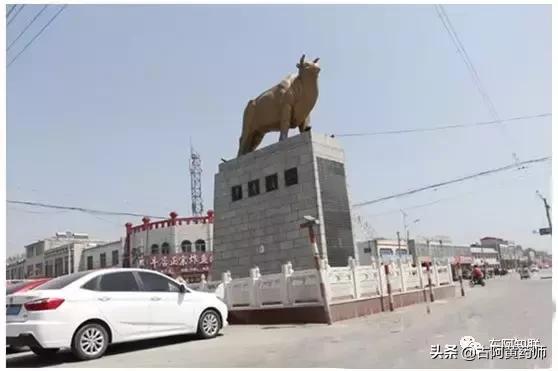 东阿中医院有老中医吗,东阿知联