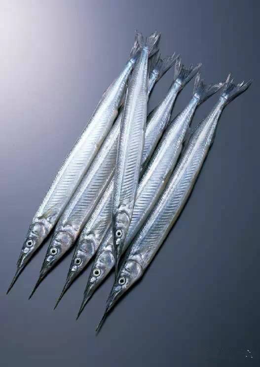 中国海鲜河鲜,市场河鲜海鲜种类大全