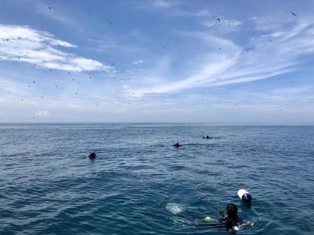 厦门不止鼓浪屿,厦门不止有海还有茉莉花