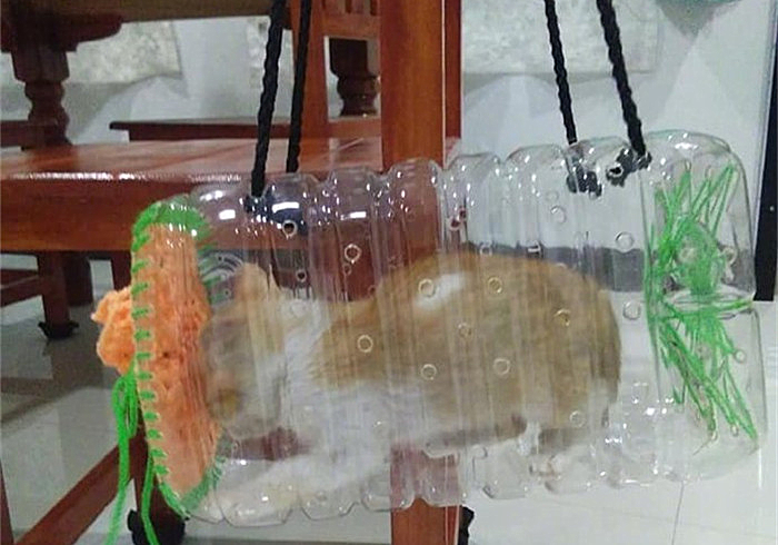 橘猫都逃不过的真香定律:铲屎官自制猫包,让猫咪爱上出门的感觉