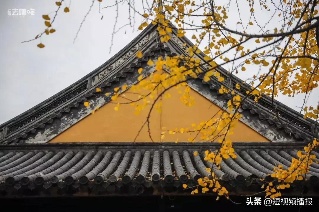 离开上海真的更好吗,要不要离开上海