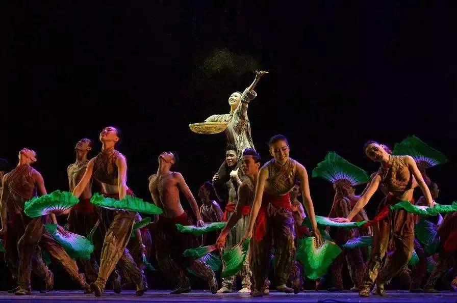 舞蹈生12年舞蹈经历,舞蹈生学习经历