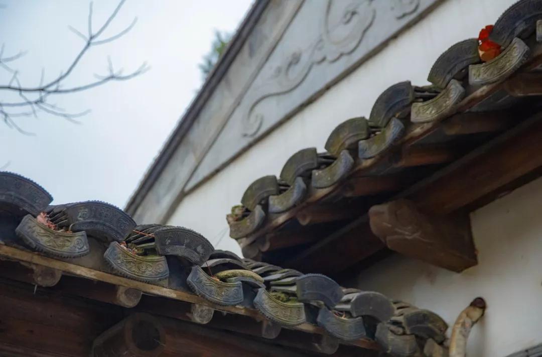 南京腊梅最佳观赏时间,南京赏梅花景点推荐