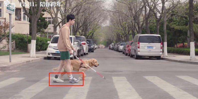 80万人想看，不只因为它凑齐半个娱乐圈