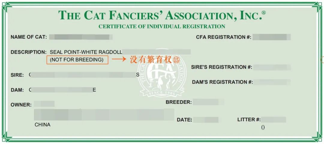 猫咪cfa血统证书含金量高么,猫咪要选有血统证书的吗