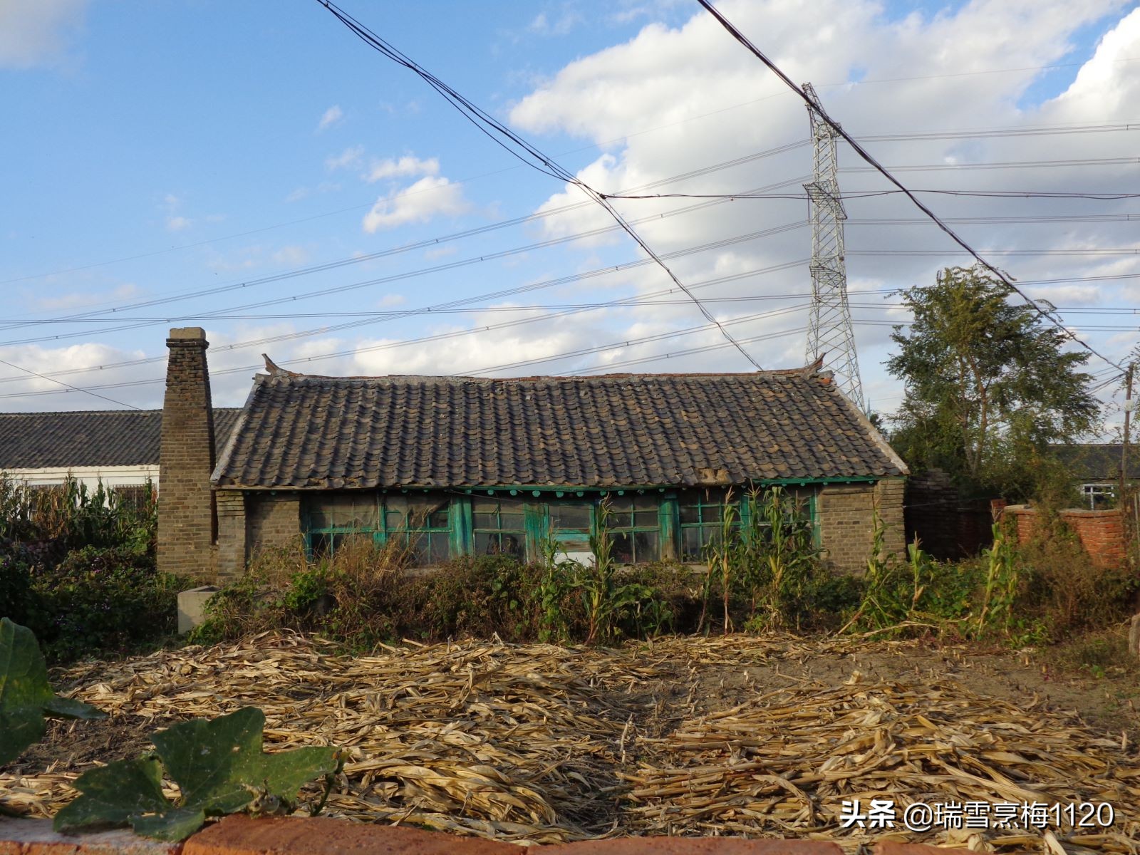 沈北新区依路村,沈北新区马刚乡地图
