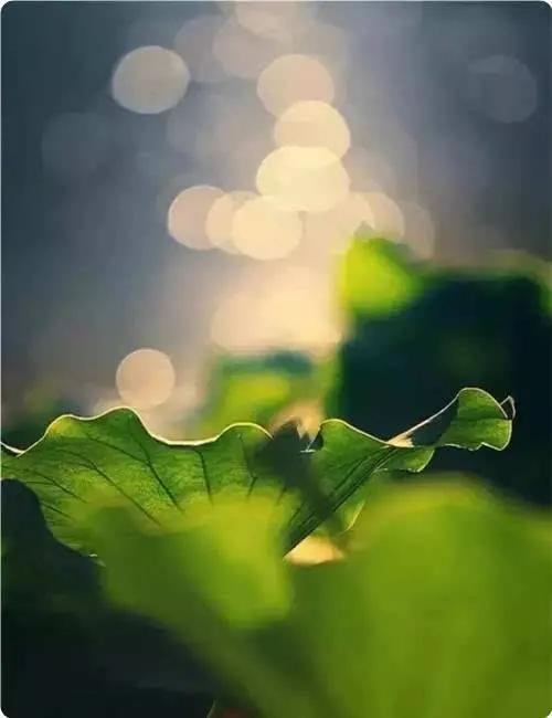 如何确定目标是自己想要的目标,确定了目标想做什么