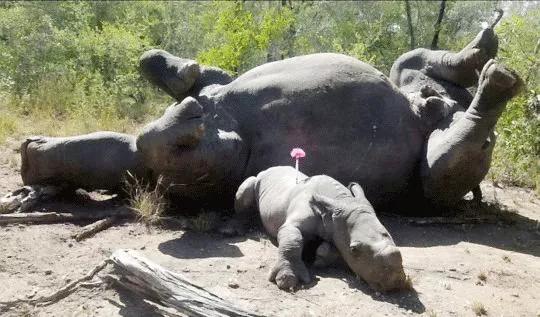 只为一串佛珠，他活剥了我妈的皮：人心有多可怕，你根本想象不到