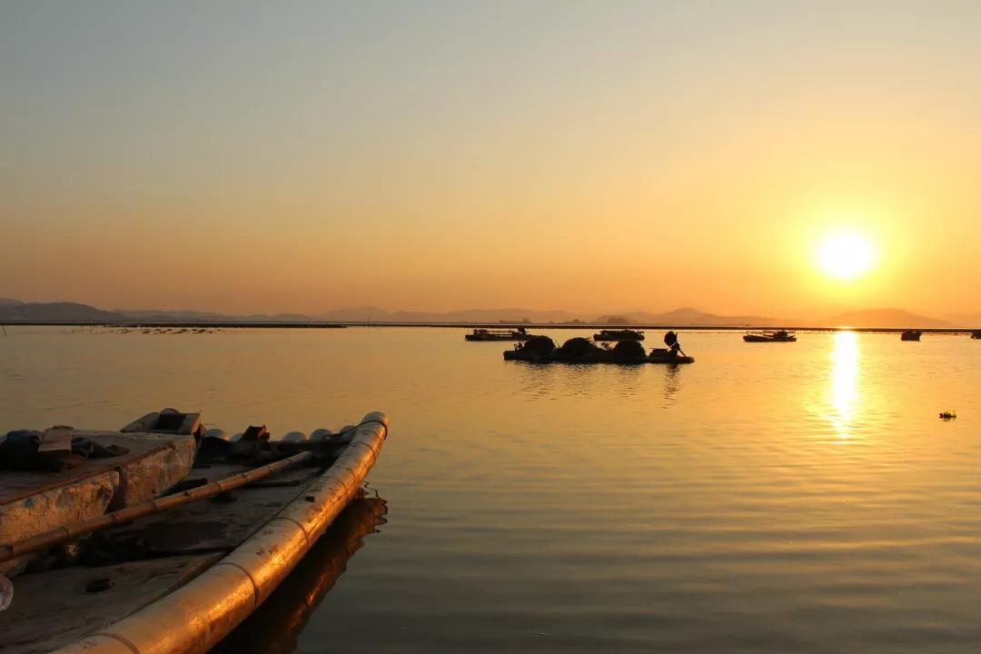 潮汕生腌在本地吃贵不贵,潮汕生腌吃了上头