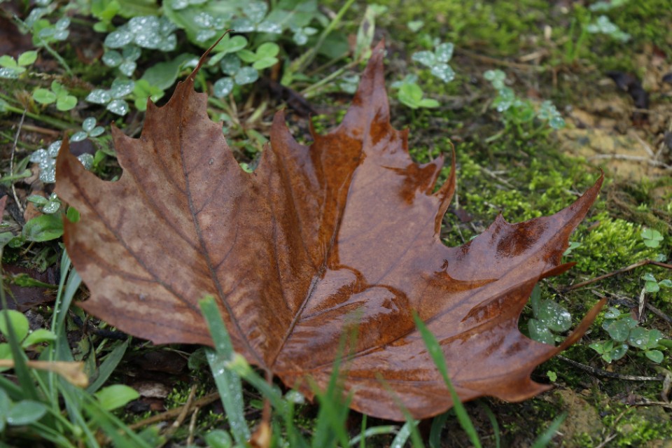 摄影小白买相机推荐,摄影小白看过来