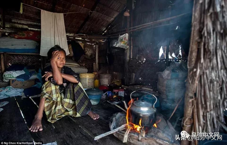 帕劳世界最美的海洋,加勒比海哪个国家景色好
