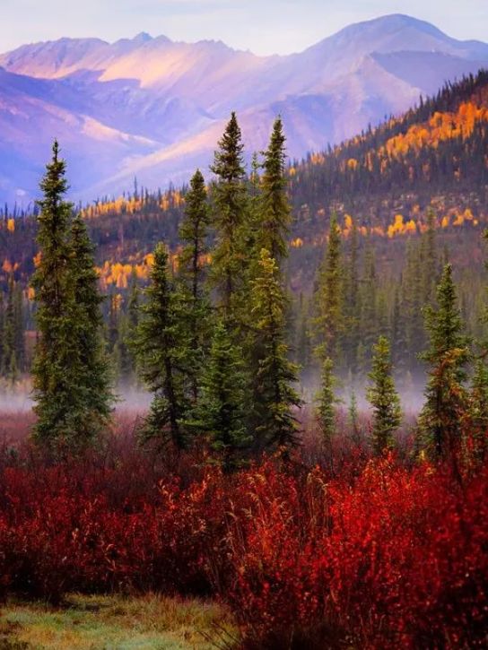 「诗词鉴赏」元曲中的秋天，另一番美丽