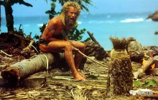假如被困荒岛吃什么,假如你被困荒岛只能带三样东西
