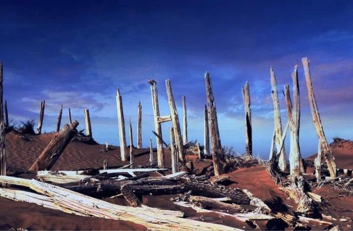 古精绝国尼雅遗址,1995年新疆民丰县尼雅遗址出土了