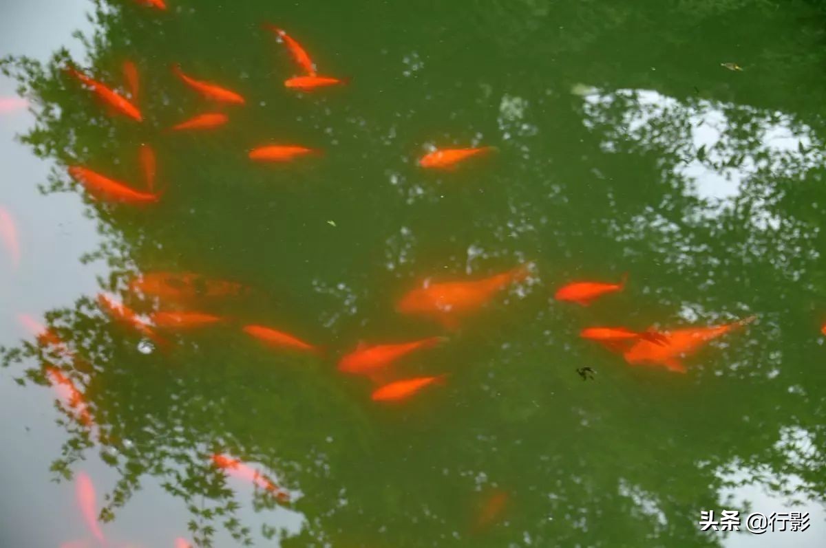 北纬30度的文化奇迹：宁波慈城校仕馆，探访数百年前的“考场”