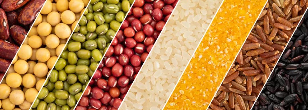 五谷丰收中的五谷指什么,五谷杂粮五谷丰收是哪五谷