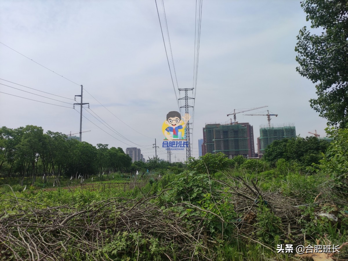 乐富强悦湖熙岸还剩哪些房源,乐富强悦湖熙岸属于什么板块