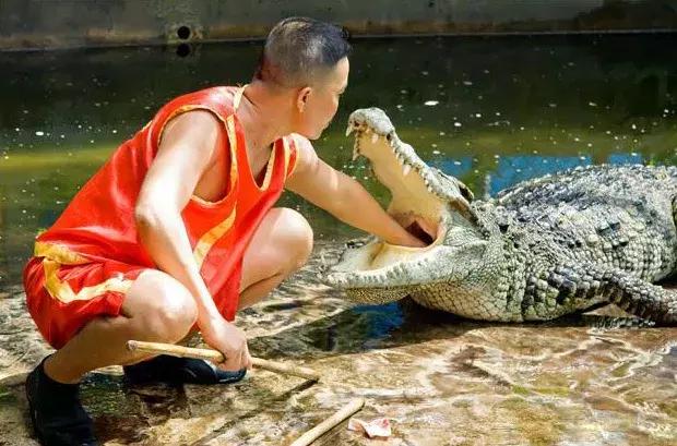 泰国苏梅岛旅游攻略天气,泰国苏梅岛旅游攻略自由行费用