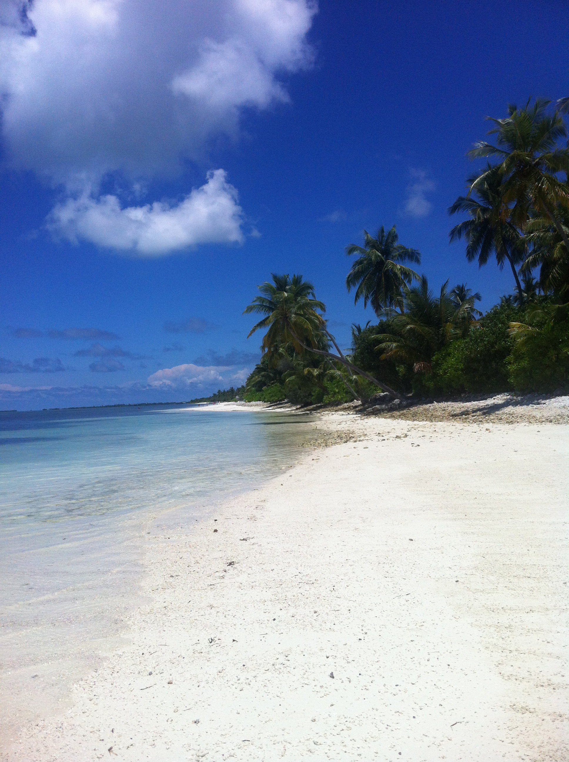 毛里求斯旅游攻略自由行,毛里求斯自由行攻略