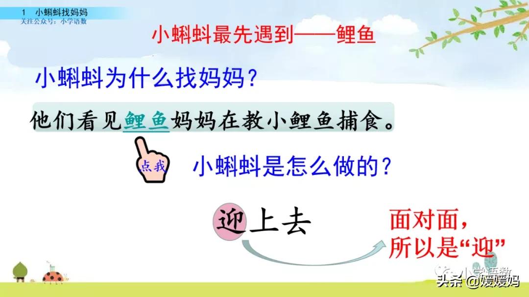 二年级上册小蝌蚪找妈妈听写词语,朗读二年级上册语文小蝌蚪找妈妈