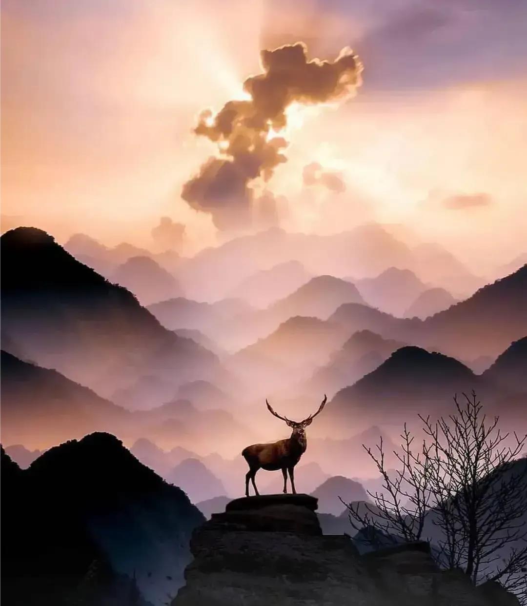 女人长得不好看却嫁优秀男人,女人不漂亮男人会爱吗