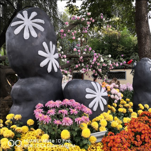 父亲节快到了又想起了我的爸爸,父亲节让我想起了自己的爸爸