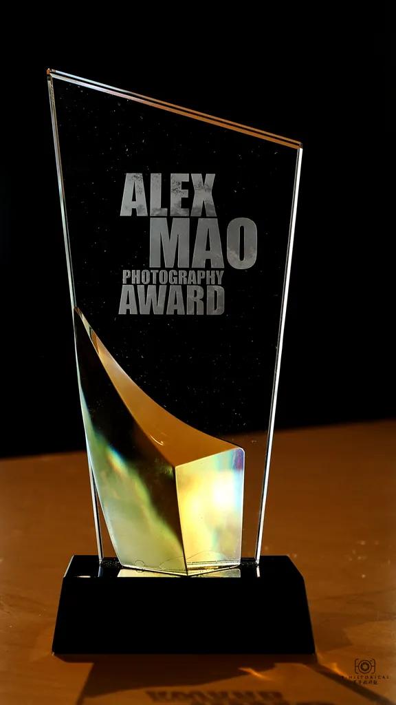 他获得了三等奖英文,他获得了很多奖项的英语