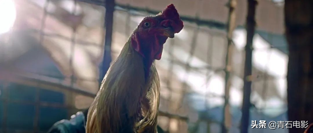 印度又出高能悬疑片!132分钟无尿点,反转后还是反转,结局神了