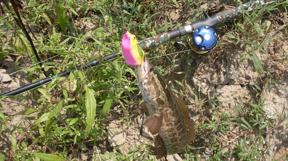 路亚进阶,路亚雷强新手入门装备